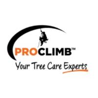 Pro Climb Tree Care image 1